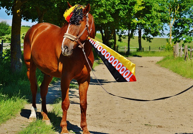 未将个人的 未将个人的