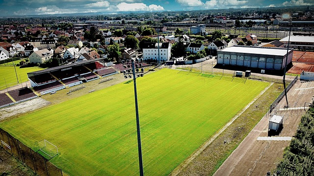 意大利的医 意大利的医