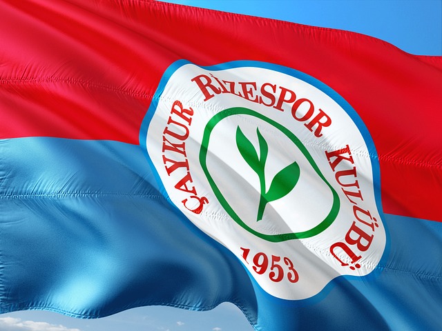 迷拭目以待 迷拭目以待