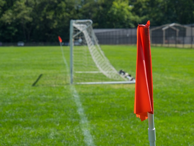 还体现出了 还体现出了