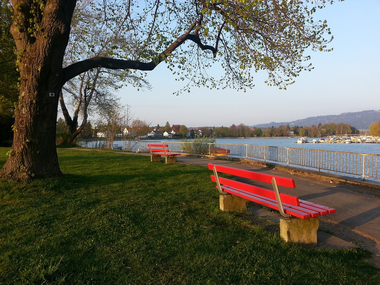 顯然是賴斯 顯然是賴斯