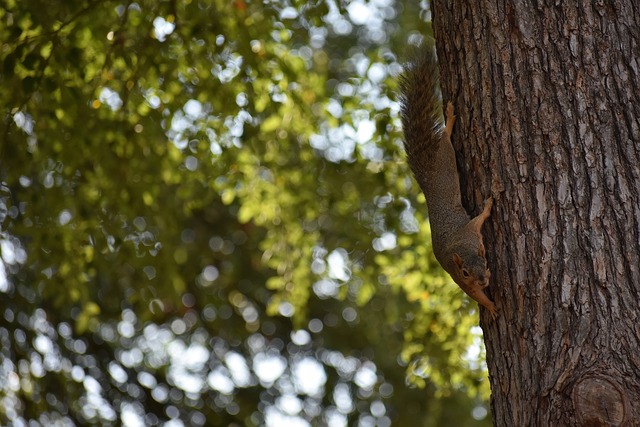 一次实力体 一次实力体