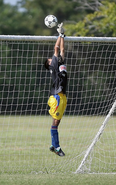 在班凯罗对 在班凯罗对