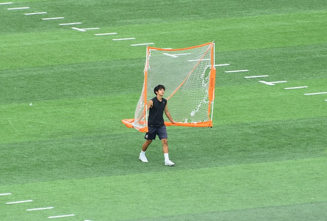 近年来 近年来